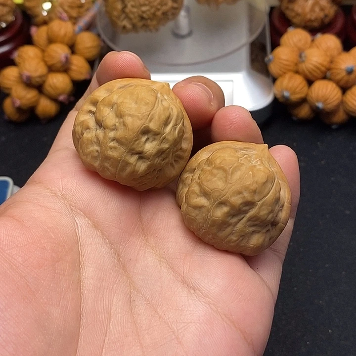 龙脊菩提吊坠古蝉