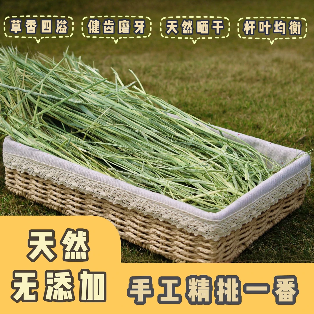 【手挑】美提一番提莫西兔子提摩西草豚鼠荷兰猪晒干草500g