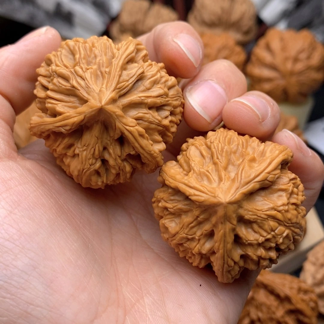 文玩核桃把件41全球奔