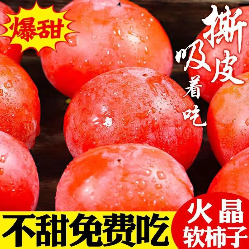 （乖，放软吃）无核火晶柿子蜜柿子应季鲜果流心柿子软柿子
