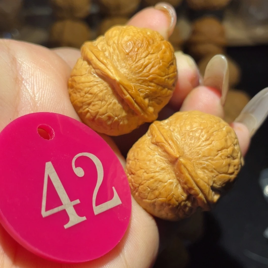 龙珠32尺寸核桃