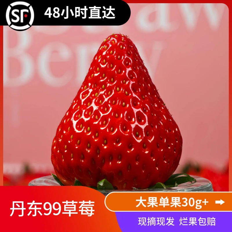 丹东99红颜牛奶草莓大果30g+东港核心产地顺丰空运当日现摘现发