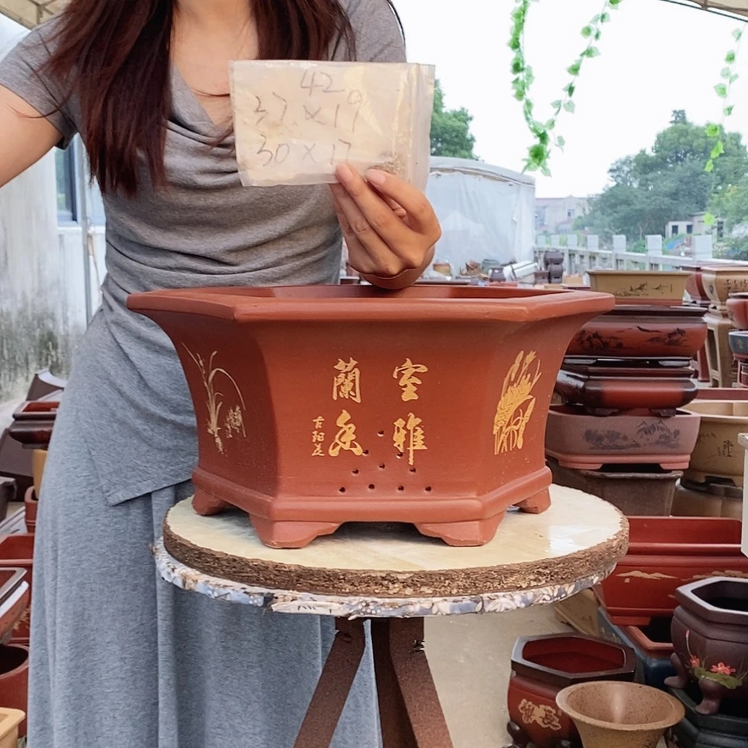 紫砂花盆紫砂花盆