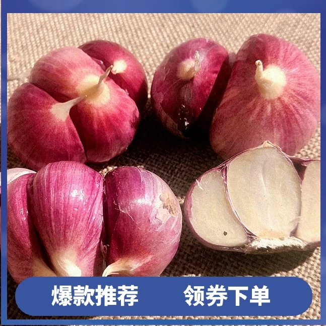 产地直发云南紫皮大蒜头现挖三丫蒜新蒜大蒜红皮蒜三瓣蒜2/3/5