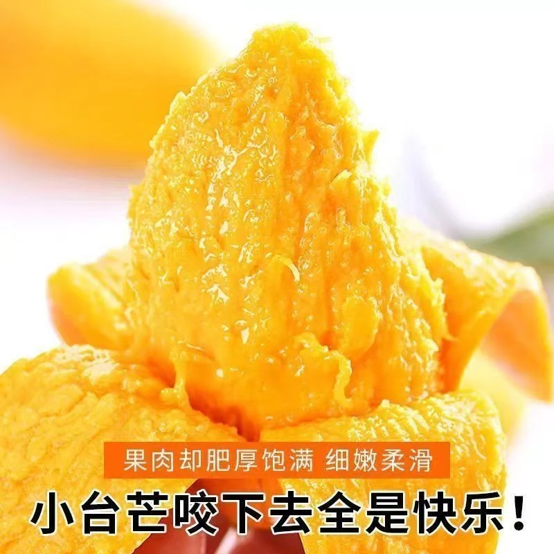 正宗产地高山老树小台芒新鲜芒果应季香甜无筋皮薄多汁