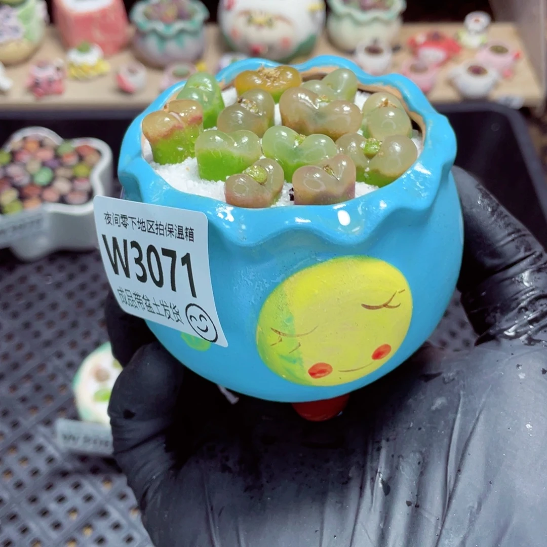 夜间零下地区拍保温箱w3071