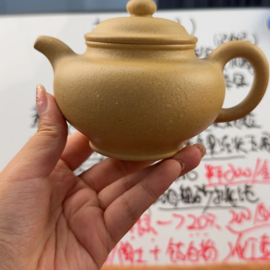 茶壶紫砂宜兴原矿梨皮300