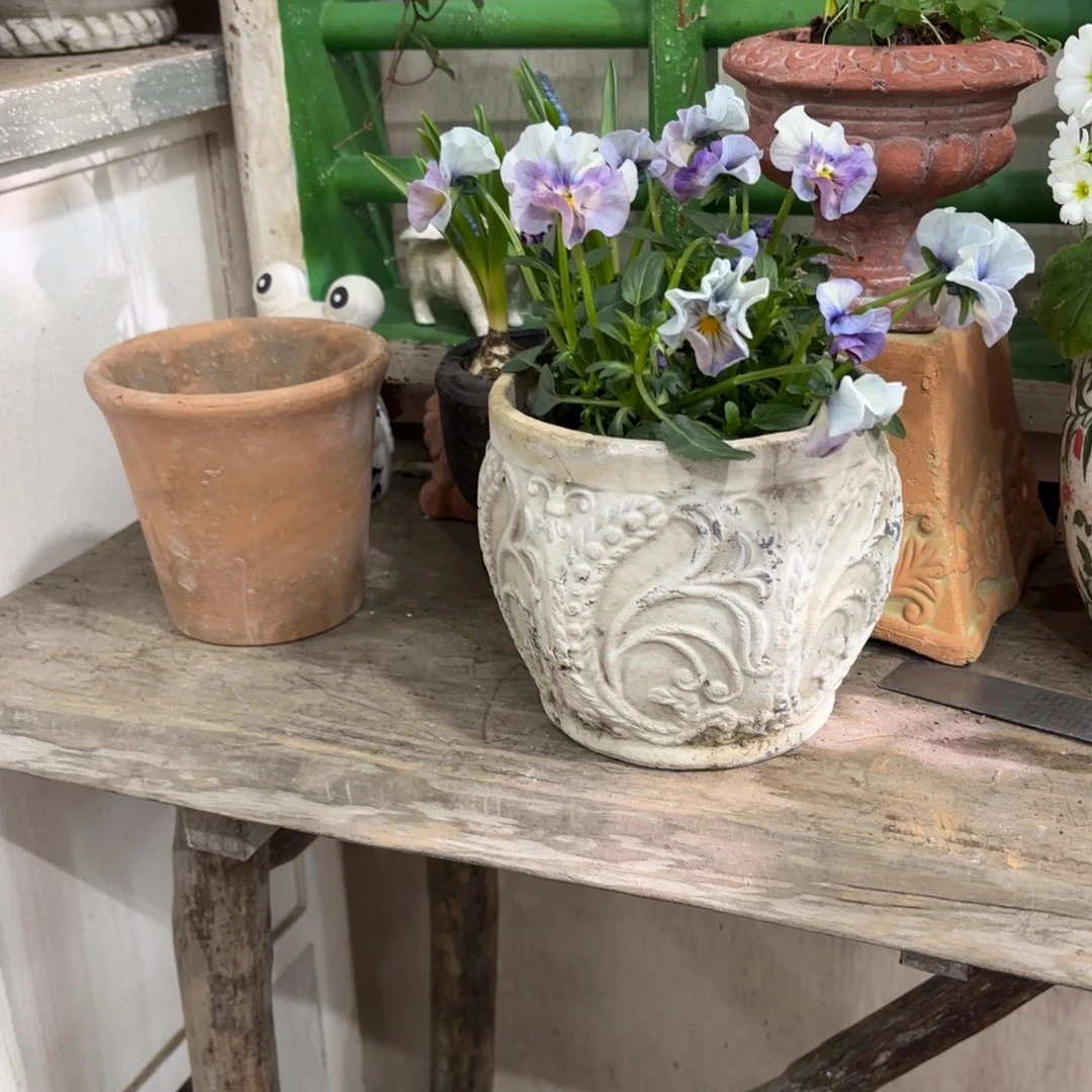 许纯的花房 六面盆