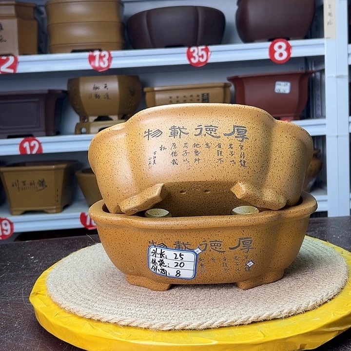 花盆紫砂蛇年大吉