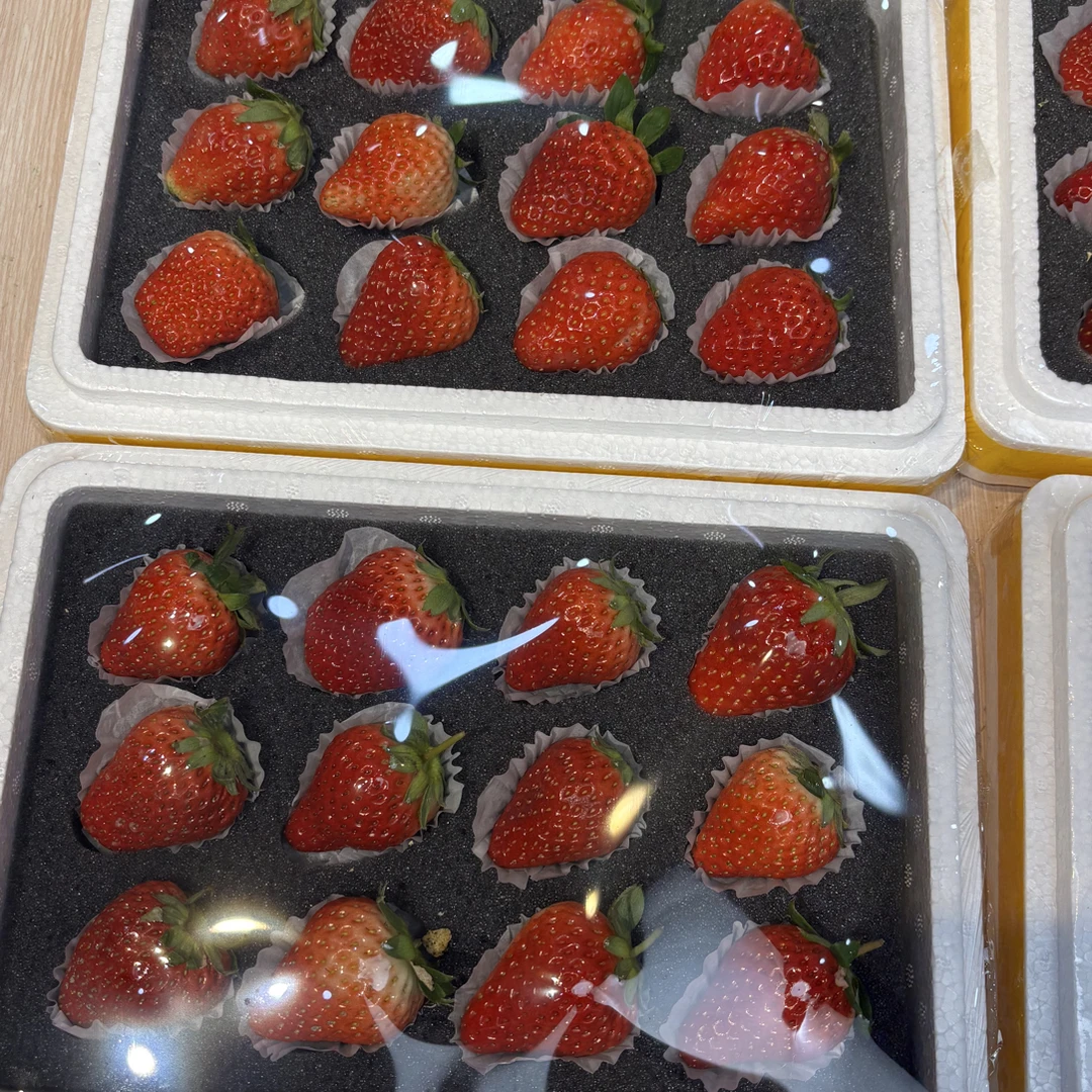 草莓精品果香甜多汁12粒