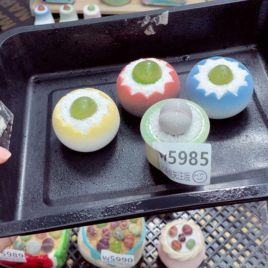 携***nw5993 带盆土发货一物一拍