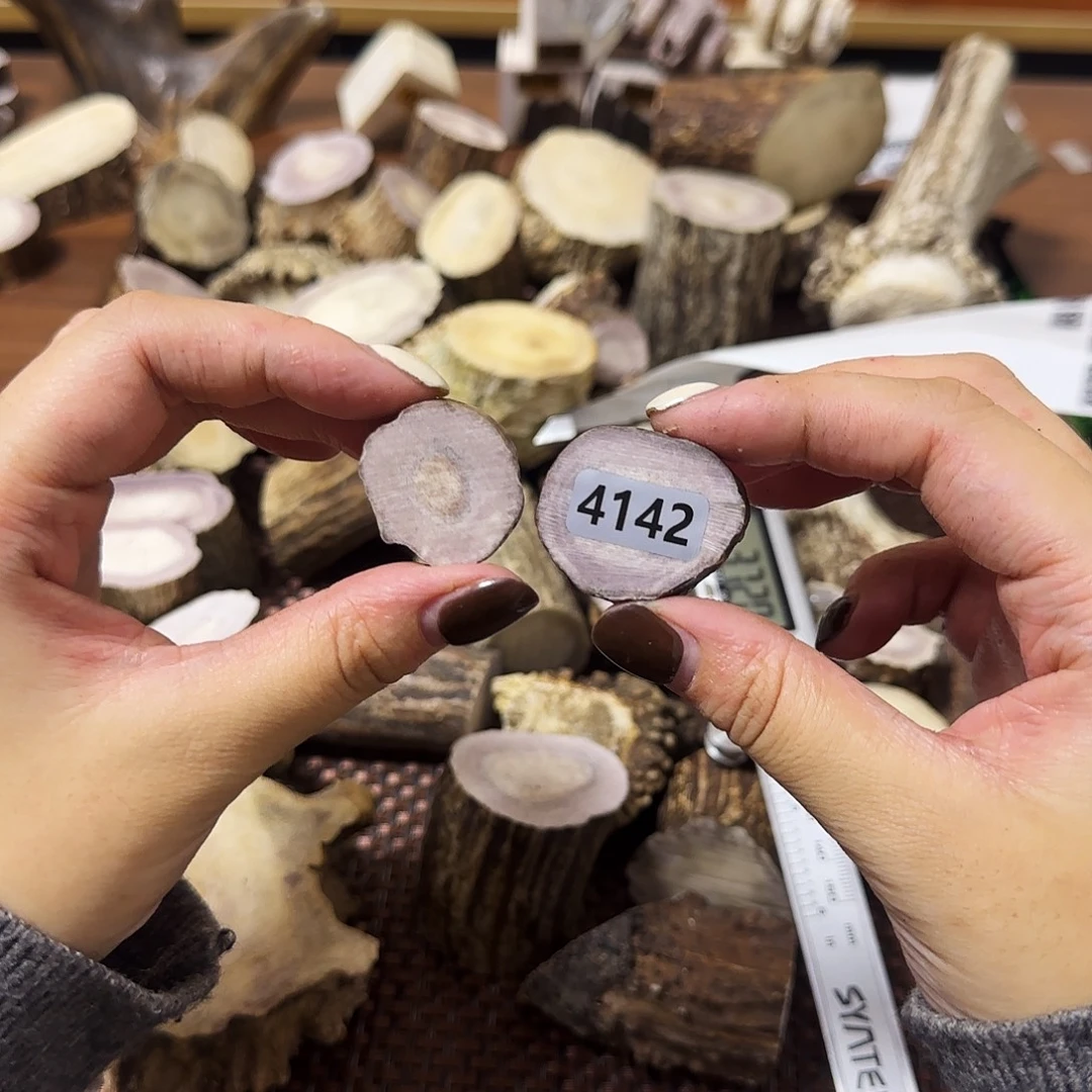 手串/手链鹿骨4142片