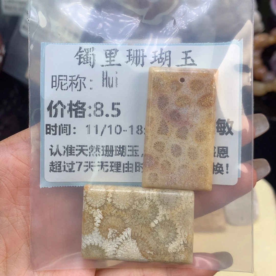 【闪购商品】颈饰未镶嵌硅化珊瑚（珊瑚玉）H*i