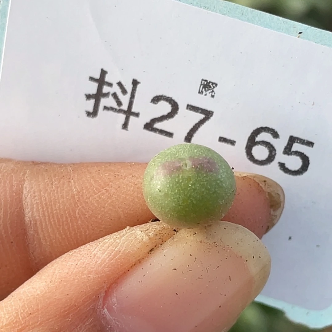 27-65肉锥458比卡丘肉锥