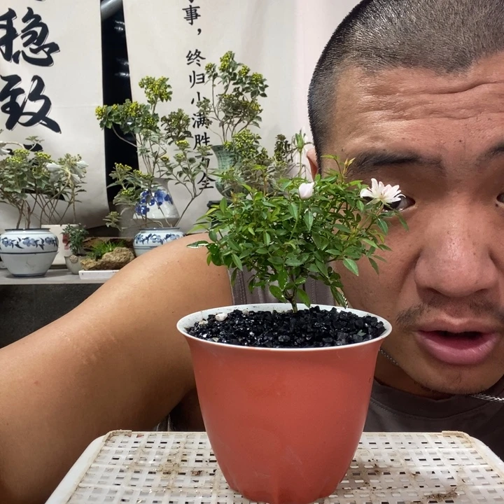 无花朵退款拉黑拉黑81