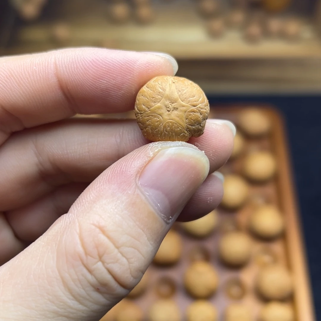 凤眼菩提手串16.9五星上将