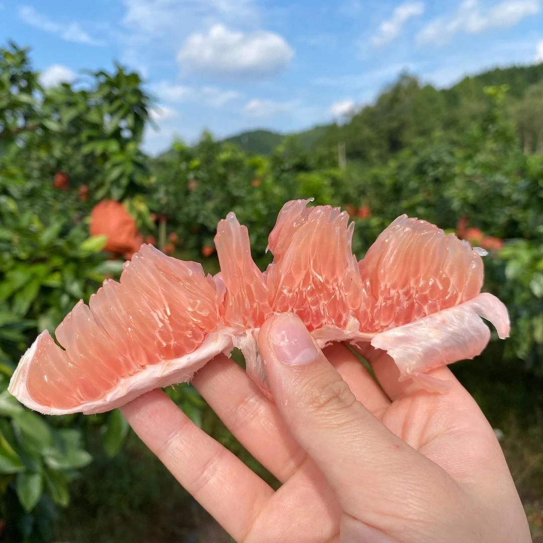 【四川达州】渠县三红柚红心柚新鲜酸甜味当季新鲜水果2个装