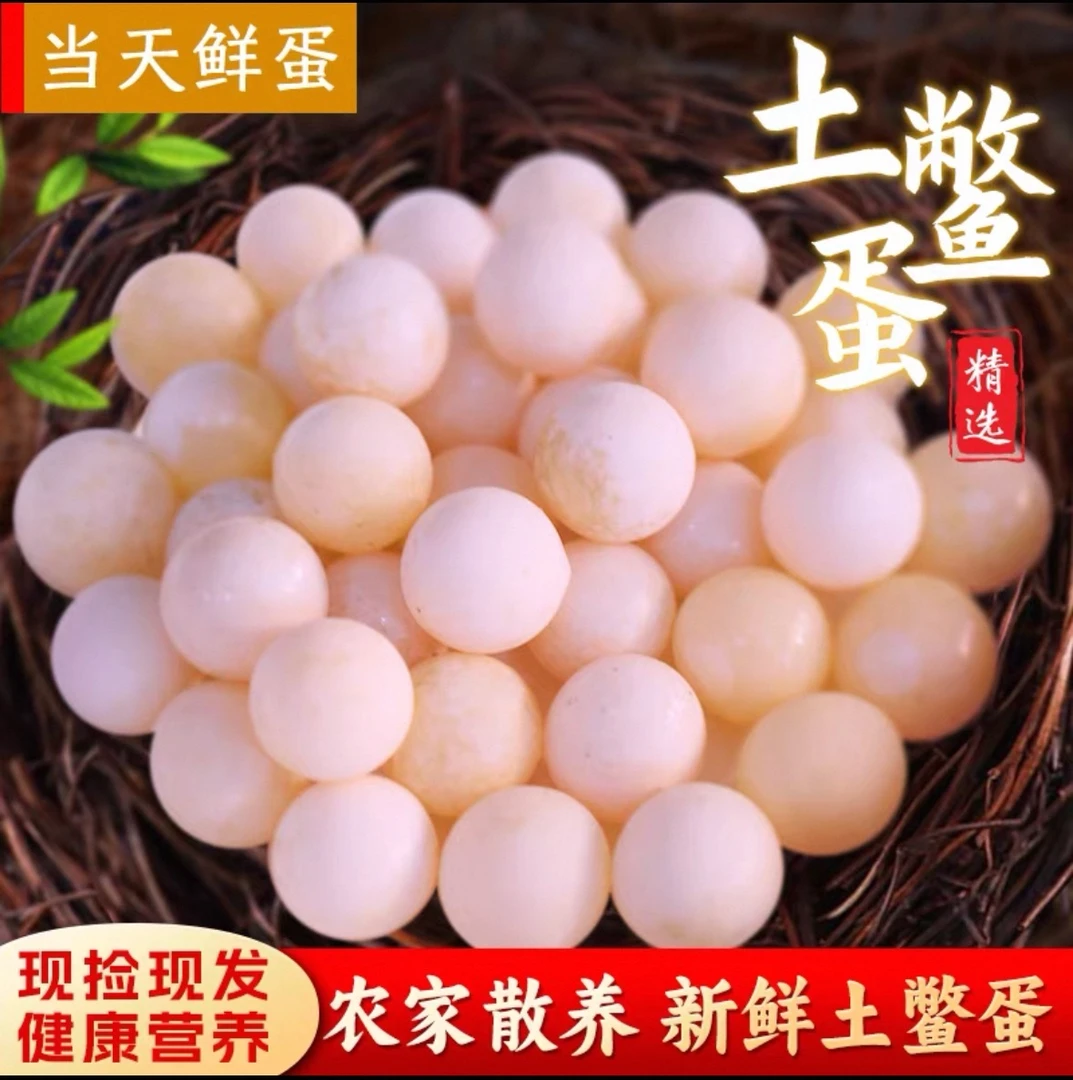 【100枚赠送20枚防路损】甲鱼蛋新鲜食用宝宝辅食营养赠菜谱