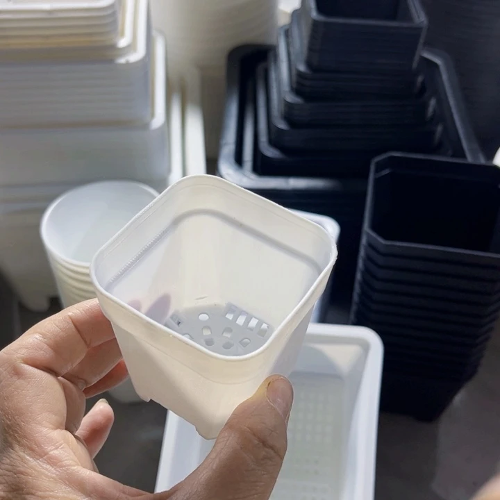 白方口6高6一组30