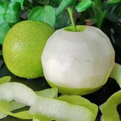 果切基地翠冠梨一份