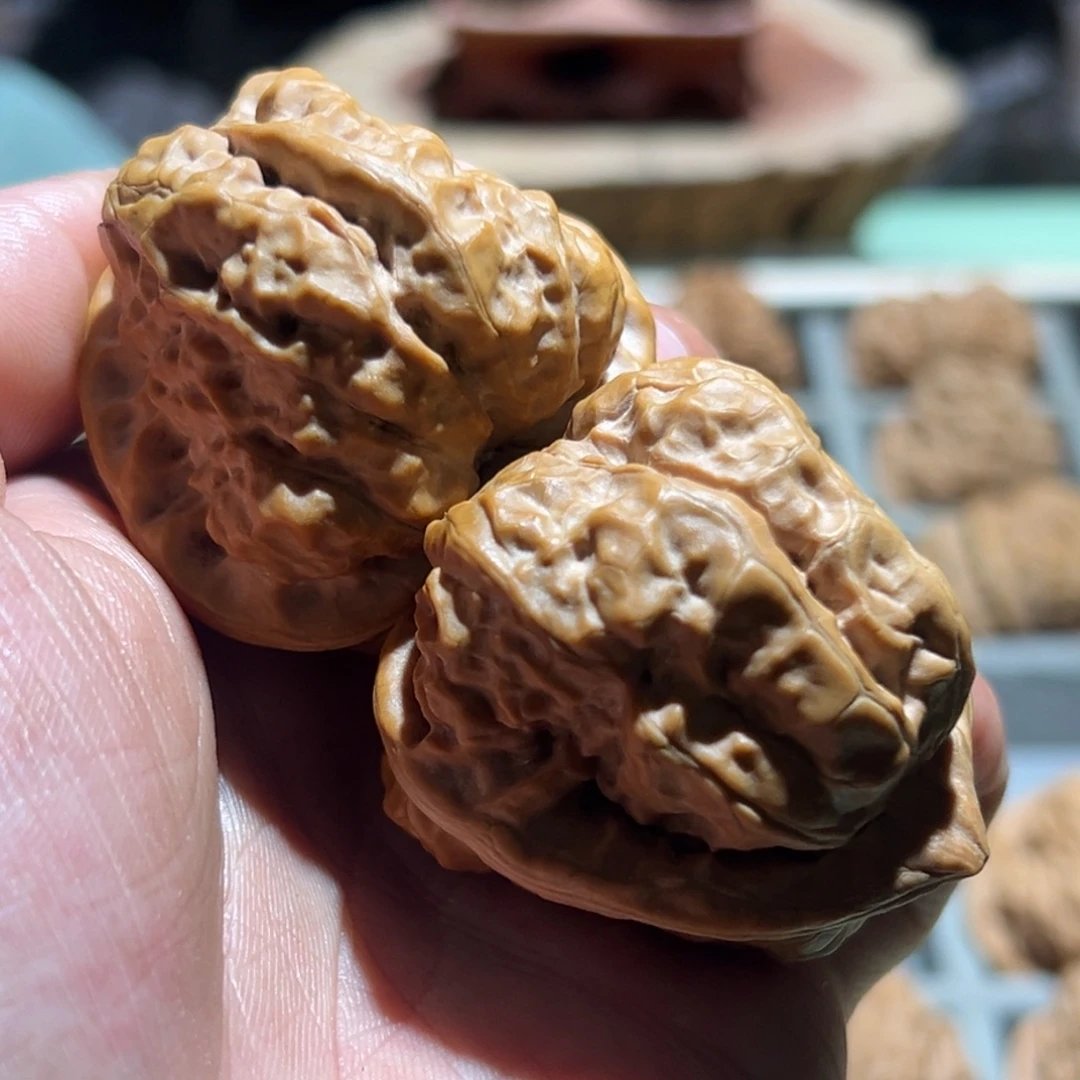 T***t菩提籽类文玩核桃蛤蟆头