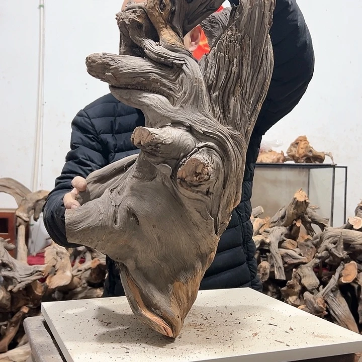 柏木凡*我们的生活也是如此的