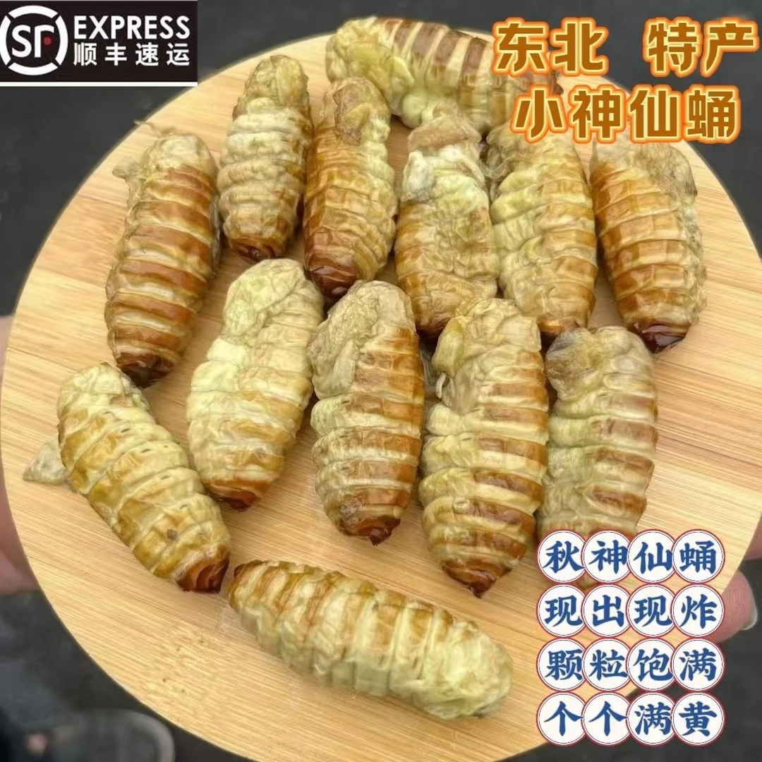 东北特产神仙蛹肉厚满黄现出现炸蘸干料顺丰