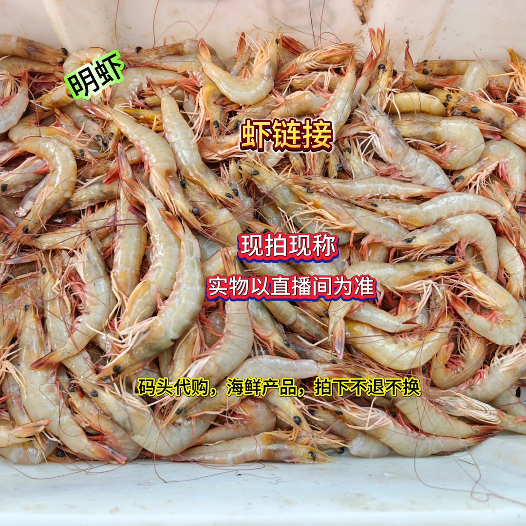 现称现拍 北部湾海虾专用链接（海鲜产品拍下不退）