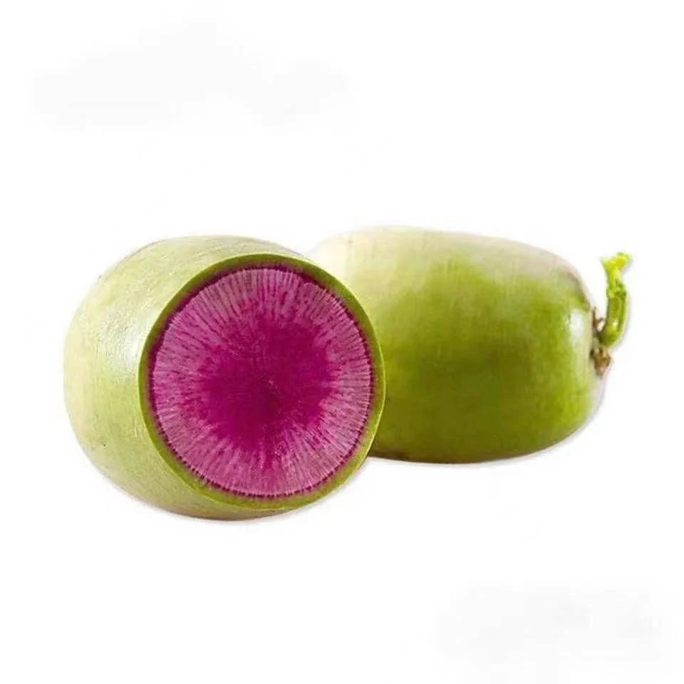 【满5包包邮】心里美萝卜种秋冬季播种水果萝卜西瓜萝卜菜籽耐热