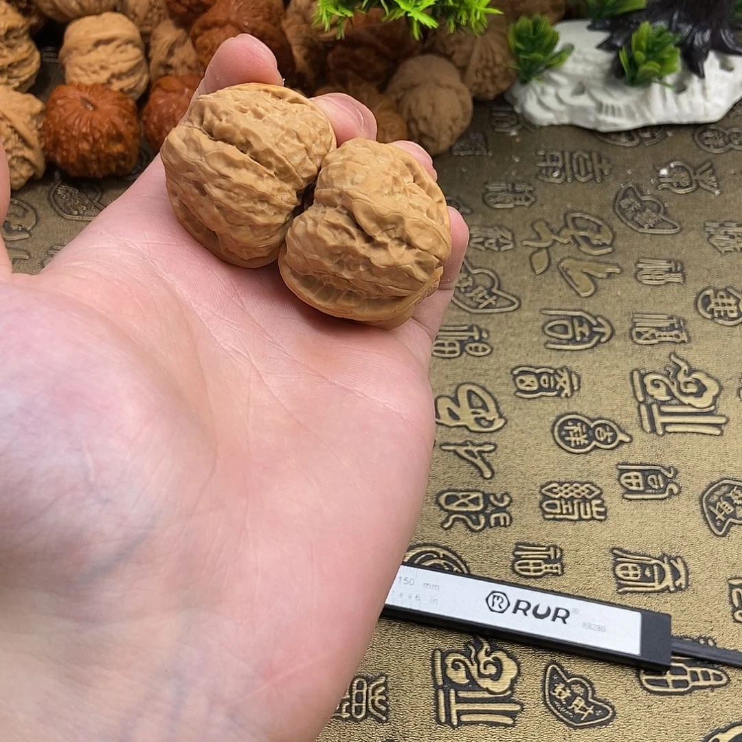 核桃蛤蟆头38边40肚编号825荷叶底带开背