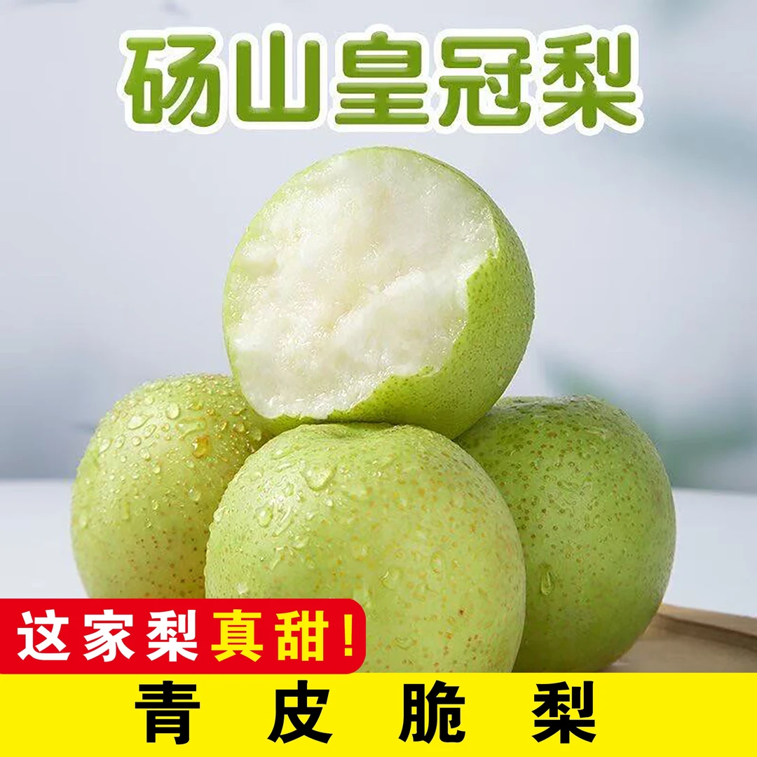 砀山青皮脆梨皇冠梨脆甜多汁薄皮香甜应季新鲜水果无渣爽口