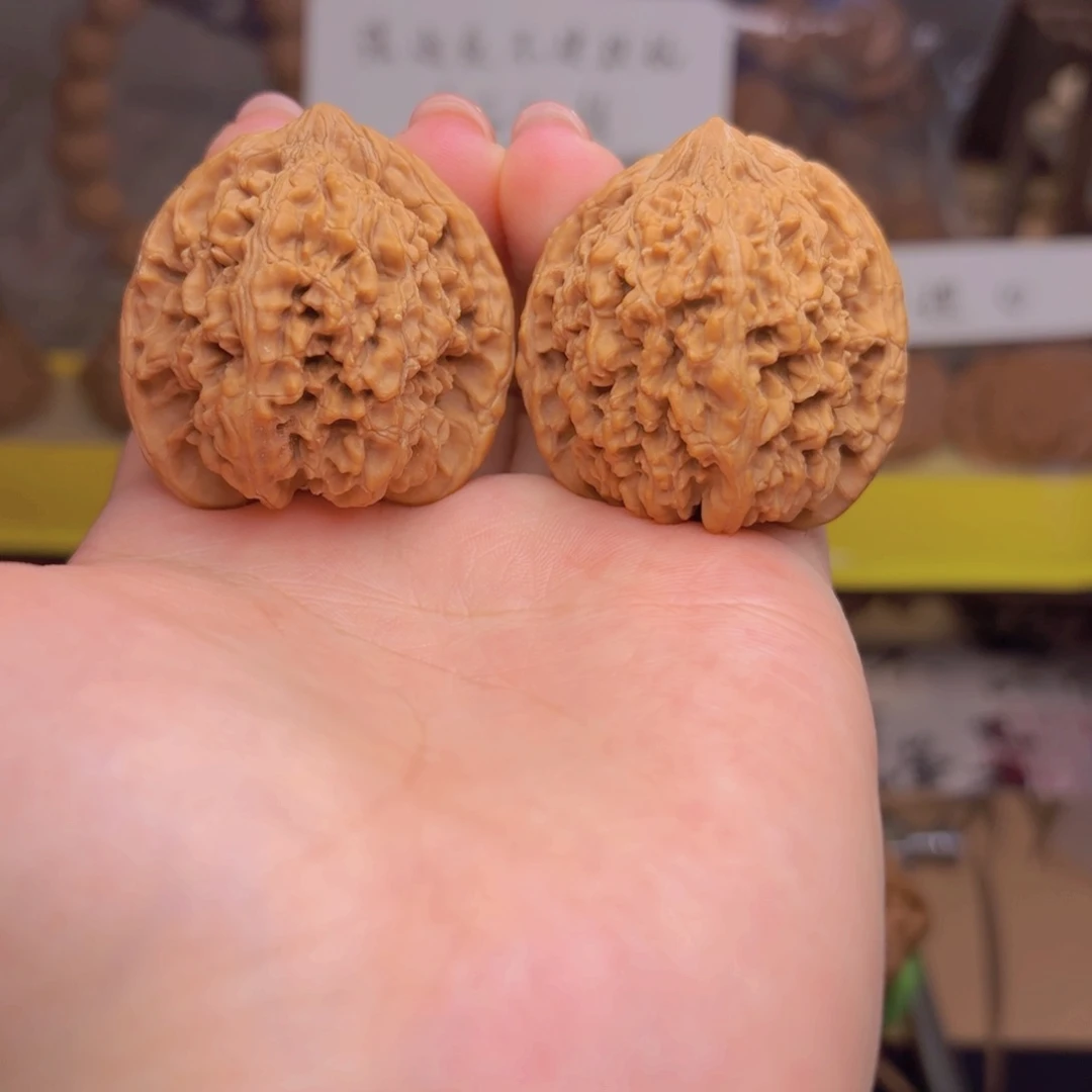 满天星狮子头四十尺