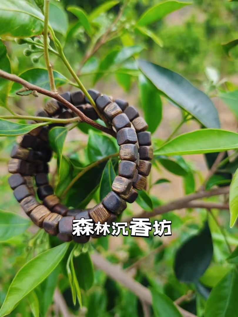 0.7f单香囊原材料多样性发一