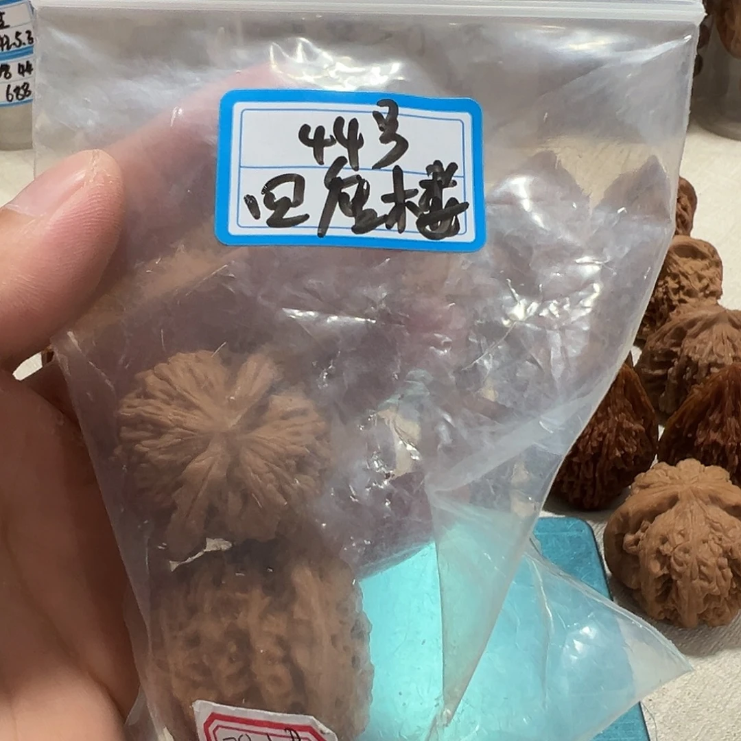 文玩核桃文玩核桃文玩核桃
