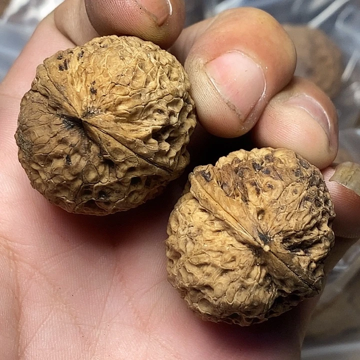 文玩核桃把件云南铁核桃B59