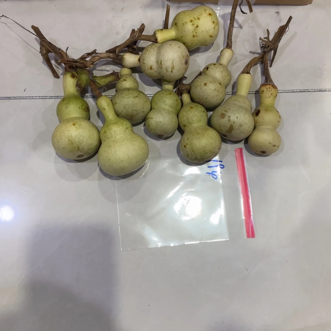 拿***铁青皮不包成大圆片放到盘子里面就