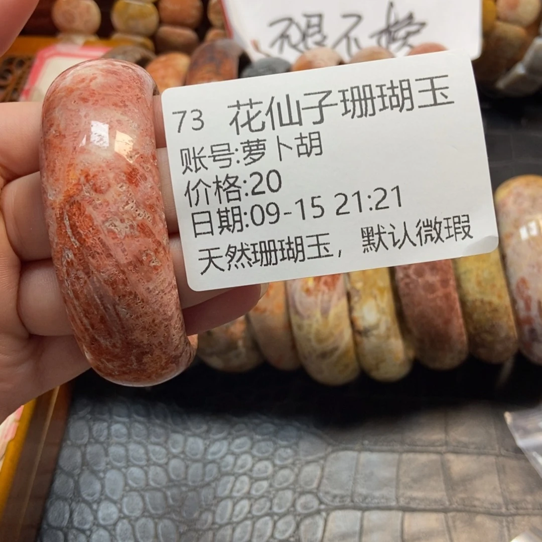 萝***胡未镶嵌硅化珊瑚（珊瑚玉）珠宝半成品73