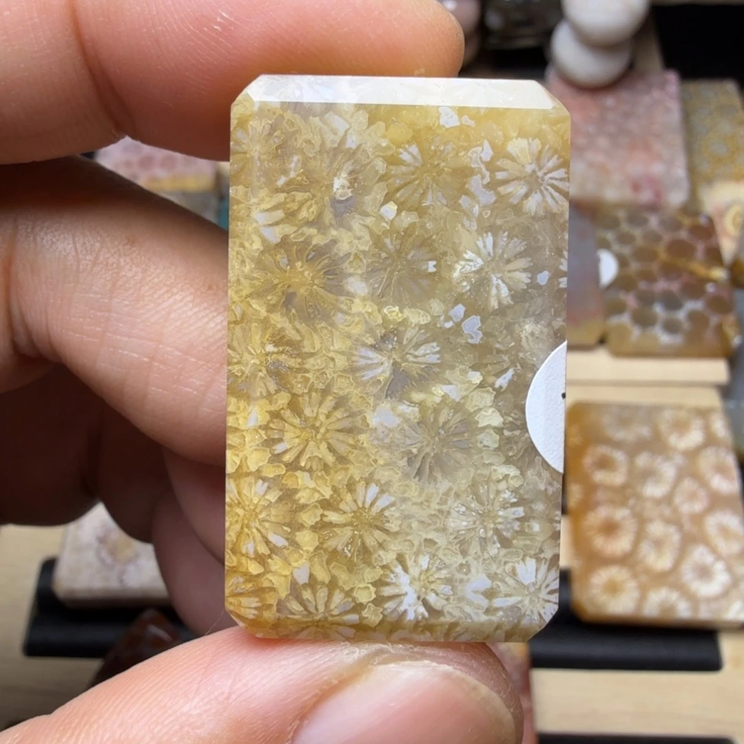 硅化玉未镶嵌纯天然色有机玉石保真色