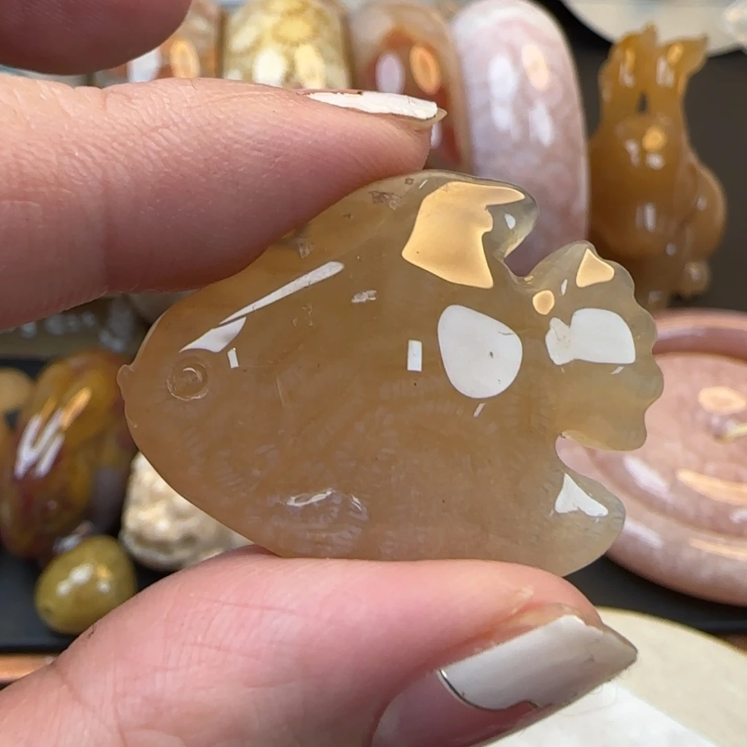 五***行硅化珊瑚（珊瑚玉）未镶嵌颈饰