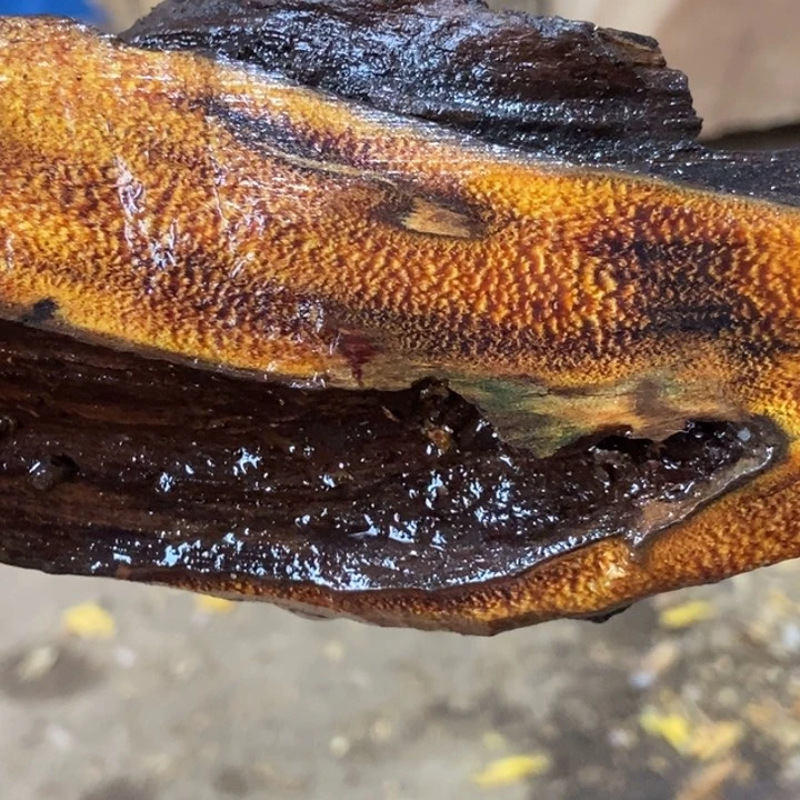 贡木手串随*定制不退不换