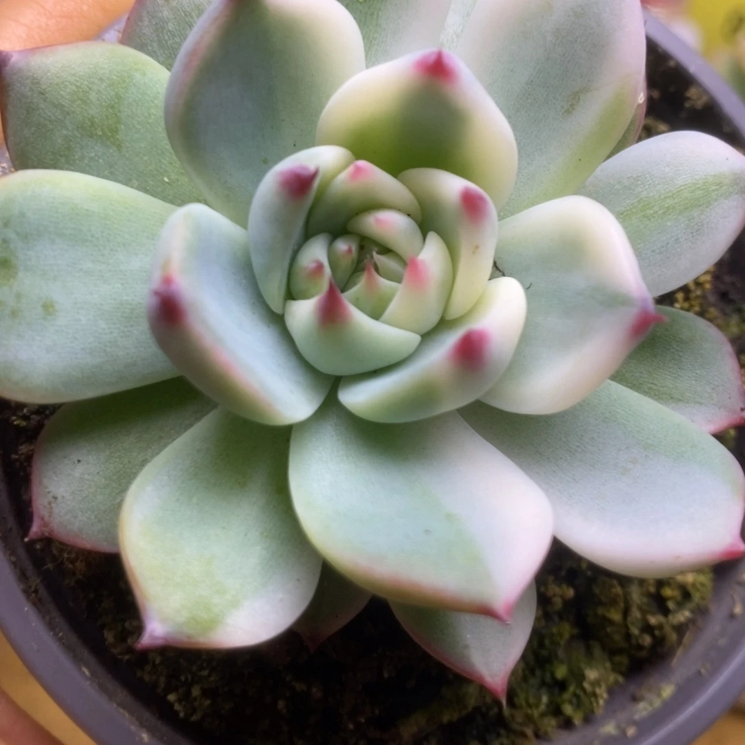 228啦啦啦啦啦啦啦