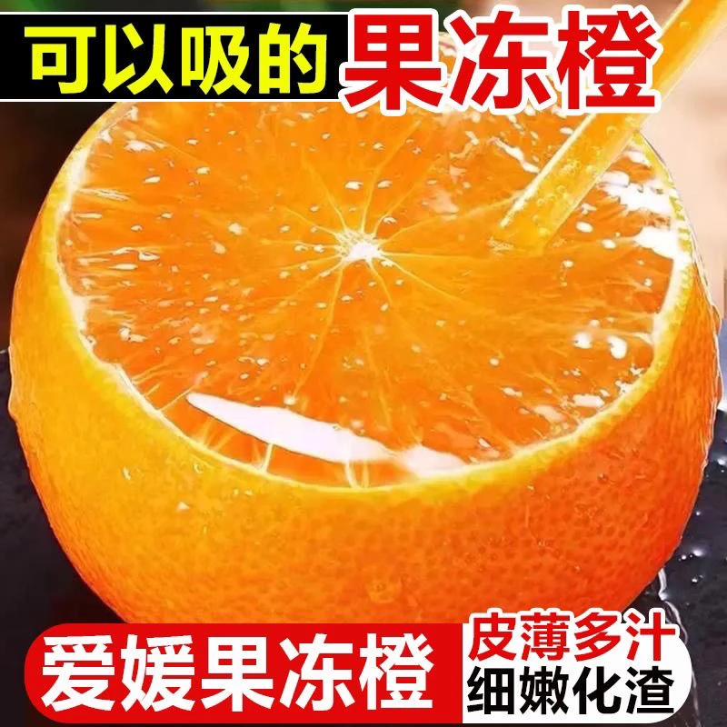四川爱媛38号果冻橙【树上鲜果】新鲜水果皮薄肉嫩风味十足4.5-8斤