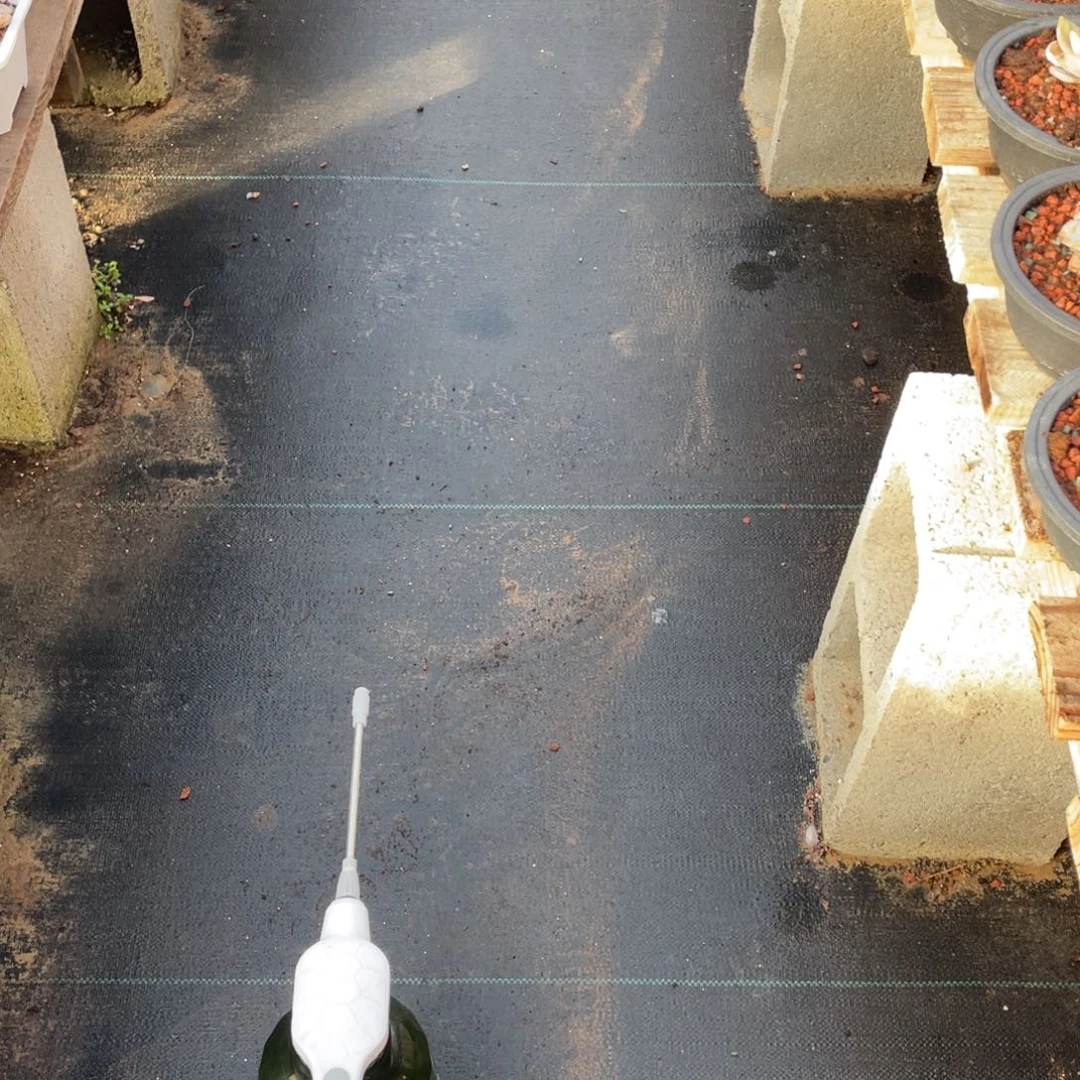 漫***慢冰魄朵朵缀一个69