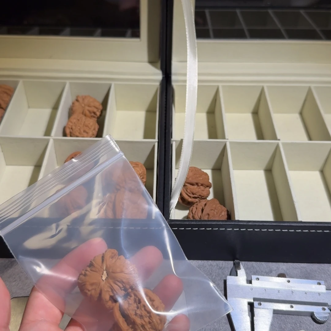 压***力大叶紫檀（黑酸枝木类）