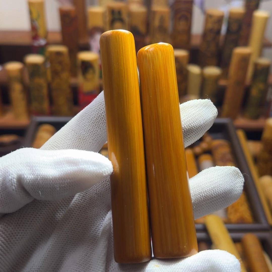 竹类精品实心玉竹