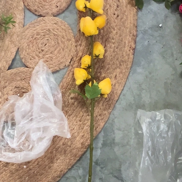 拍品大福利大福利