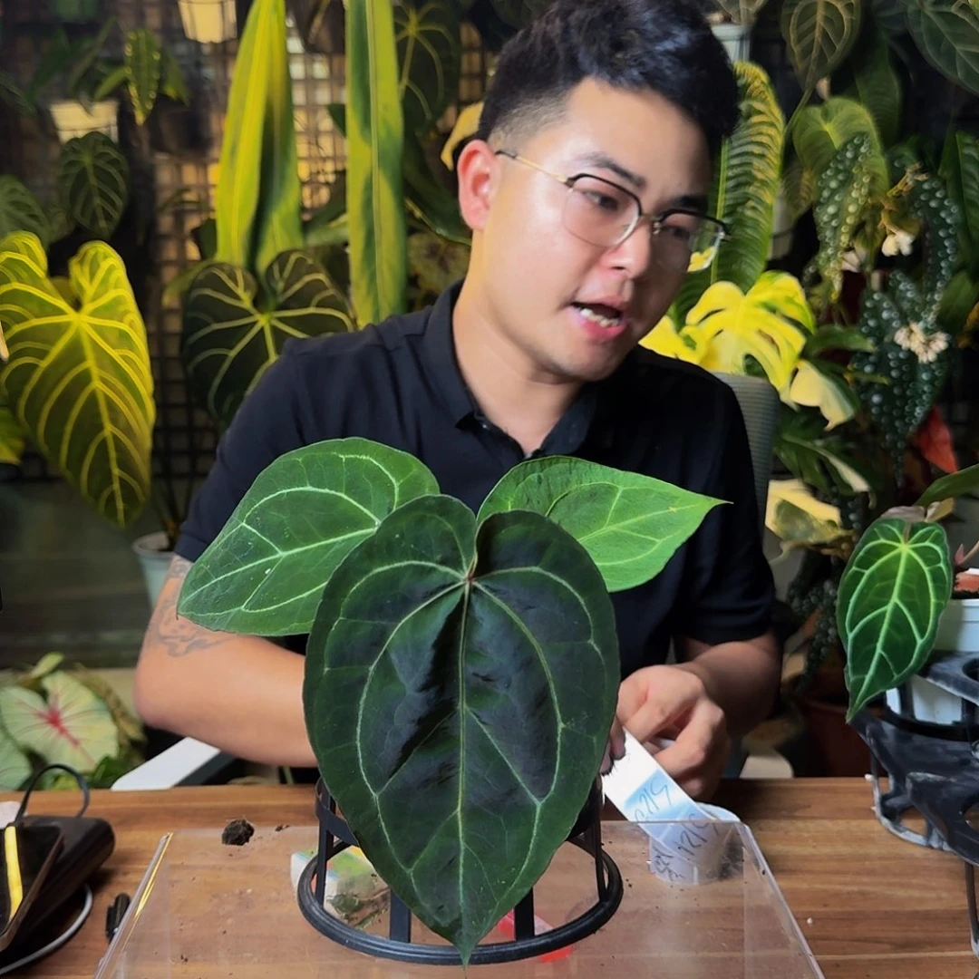 是***呀完全开放一物一拍S119