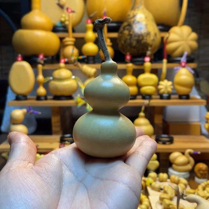 马***y天然葫芦自然生长