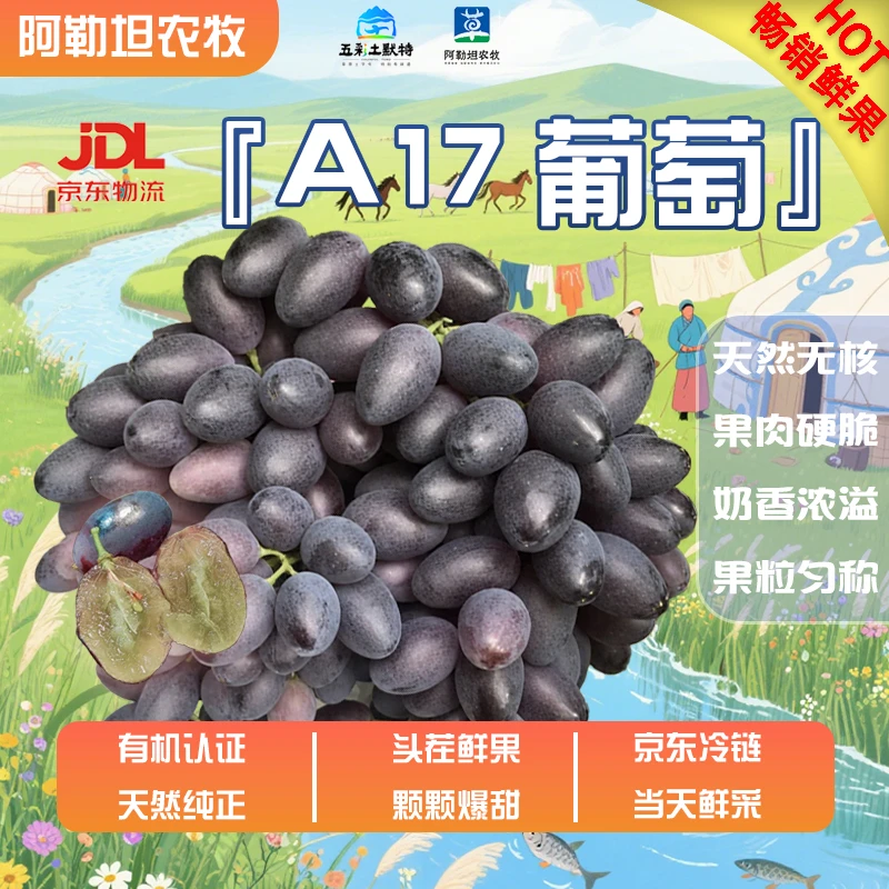【阿勒坦有机葡萄】A17 无籽葡萄金手指美人指新鲜水果脆甜提子
