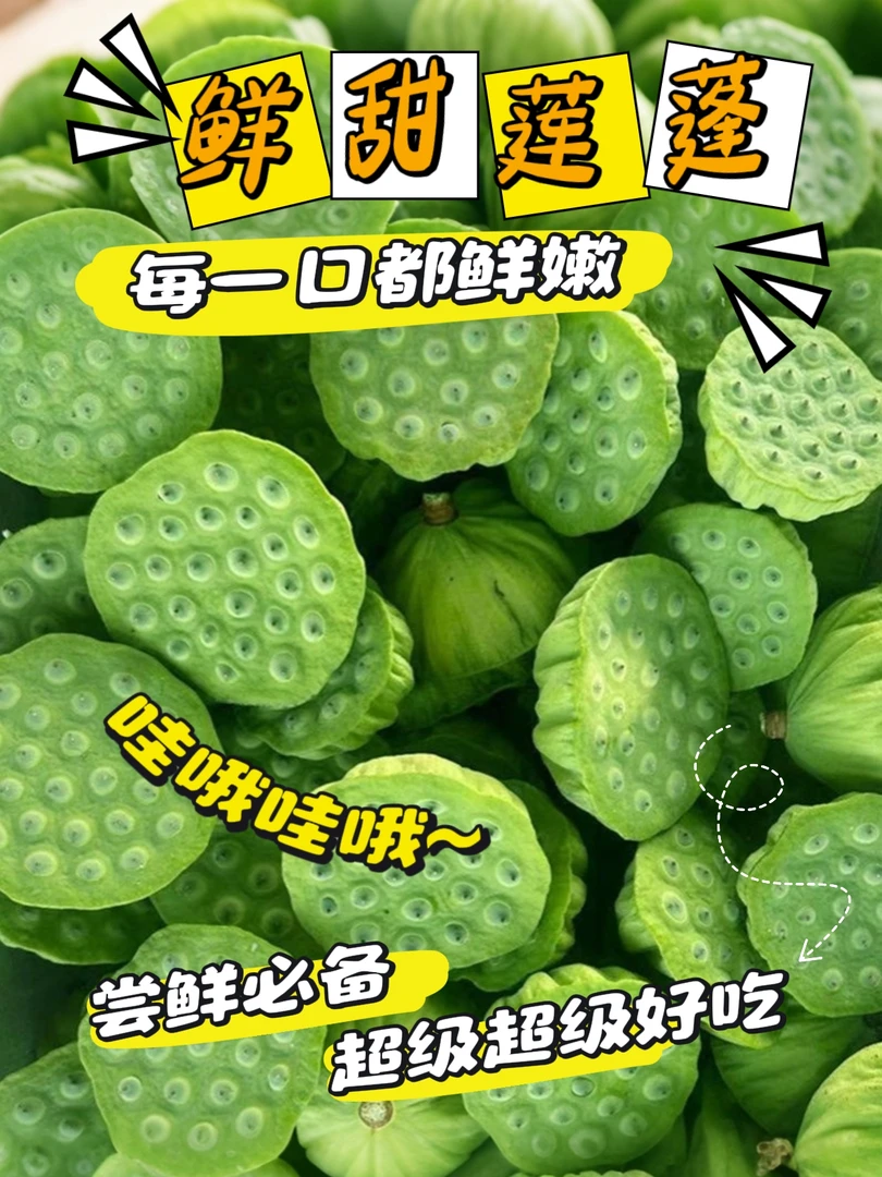 浙江绿色食品鲜莲子【5-6成熟生吃水果莲蓬】清甜脆嫩生吃当季水果